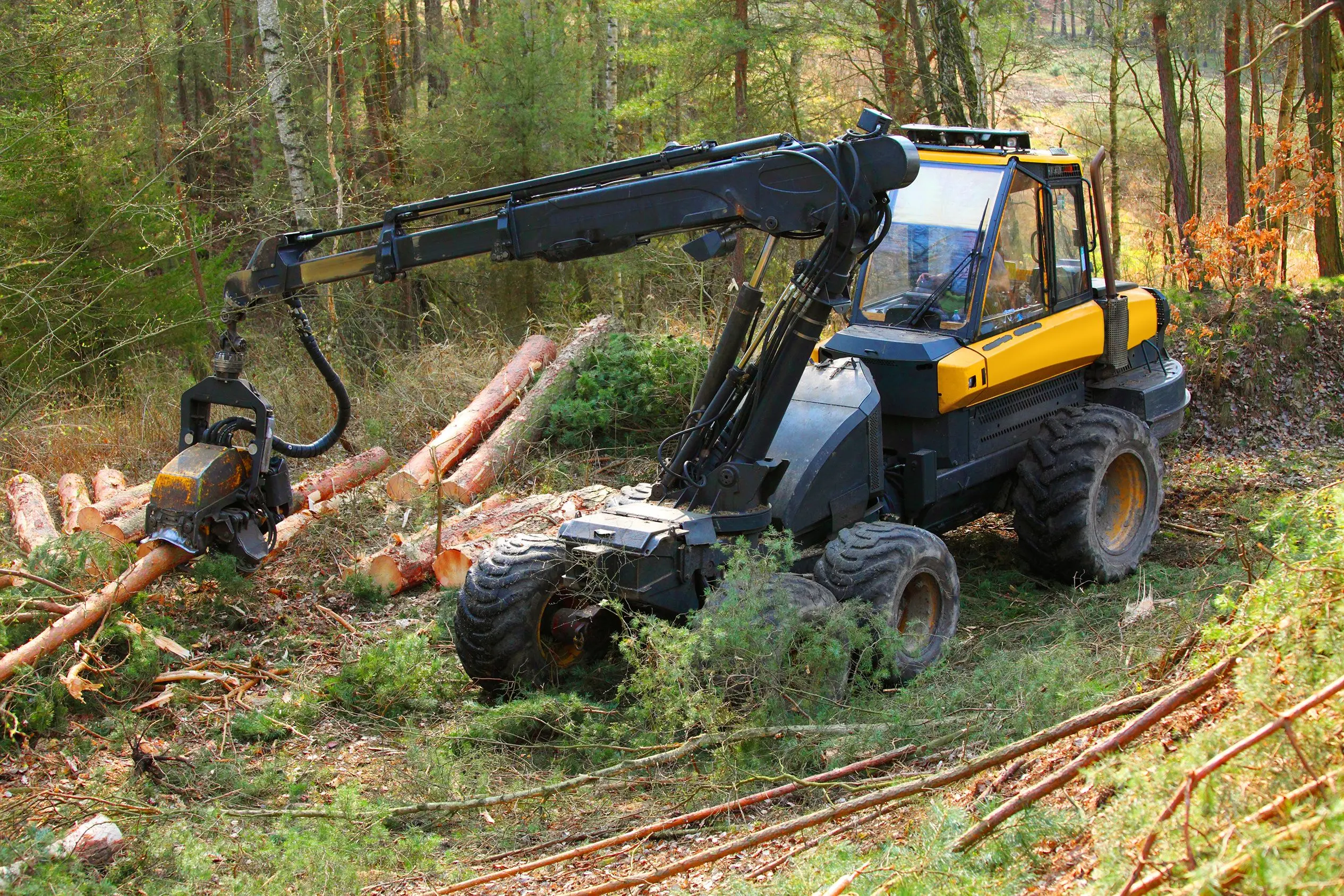 Harvester w lesie – filtry do maszyn leśnych pracujących w wilgoci i pyle