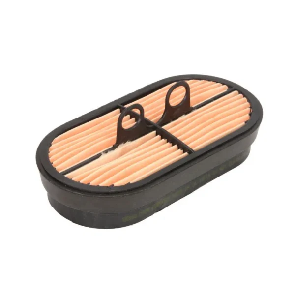 P600975 Filtr powietrza DONALDSON — widok produktu